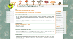 Desktop Screenshot of amo-nantes.fr